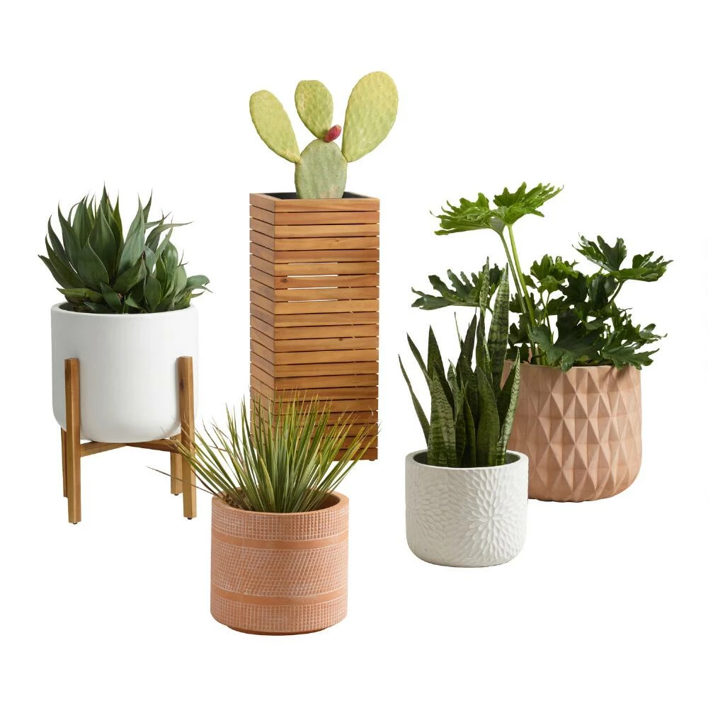 World Market Alicante Wood And Metal Outdoor Planter 7 World Market Alicante Wood And Metal Outdoor Planter - Image 6