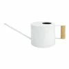 World Market White Galvanized Steel and Wood Watering Can