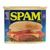 World Market Spam Classic Canned Meat -Outdoor Elegant Store unnamed file 1496