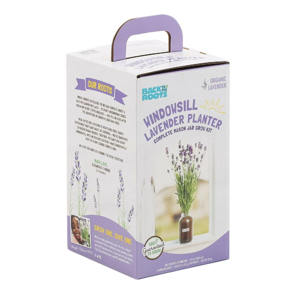 World Market Back to the Roots Organic Lavender Windowsill Grow Kit 3 World Market Back to the Roots Organic Lavender Windowsill Grow Kit