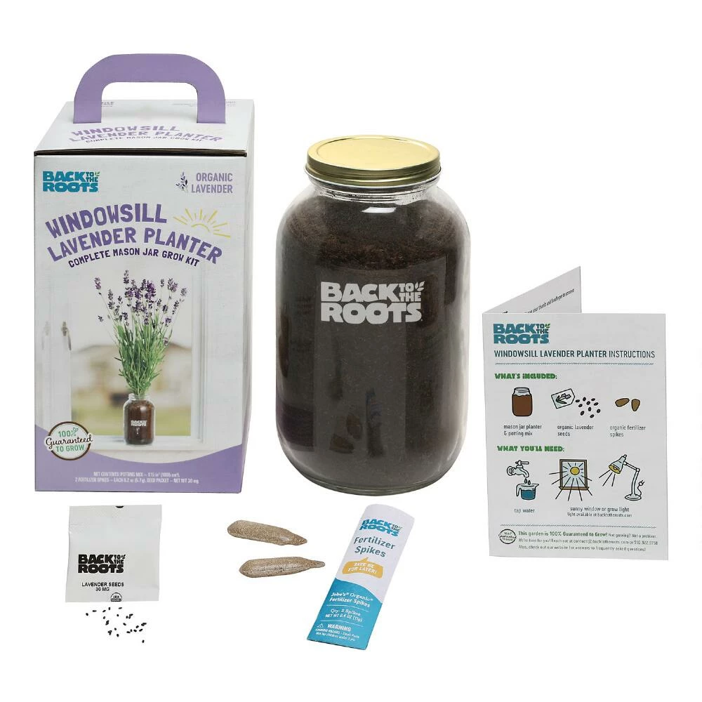 World Market Back to the Roots Organic Lavender Windowsill Grow Kit 4 World Market Back to the Roots Organic Lavender Windowsill Grow Kit - Image 2