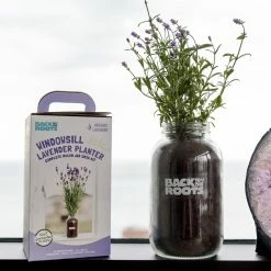 World Market Back to the Roots Organic Lavender Windowsill Grow Kit 7 World Market Back to the Roots Organic Lavender Windowsill Grow Kit -Outdoor Elegant Store unnamed file 1581