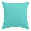 World Market Sunbrella Aruba Canvas Outdoor Throw Pillow -Outdoor Elegant Store unnamed file 1919