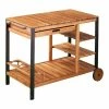 World Market Seymour Acacia Wood and Black Metal 4 Tier Outdoor Bar Cart -Outdoor Elegant Store unnamed file 2579