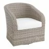 World Market Magdalena Graywash All Weather Wicker Outdoor Swivel Chair -Outdoor Elegant Store unnamed file 268