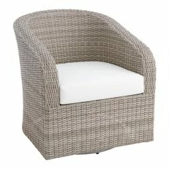 World Market Magdalena Graywash All Weather Wicker Outdoor Swivel Chair