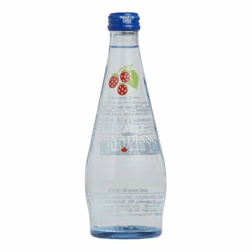 World Market Clearly Canadian Country Raspberry Sparkling Beverage -Outdoor Elegant Store unnamed file 3363