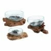 World Market Natural Driftwood And Blown Glass Bowl -Outdoor Elegant Store unnamed file 341
