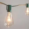 World Market Edison Style String Light Replacement Bulbs 4 Pack -Outdoor Elegant Store unnamed file 3429