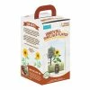 World Market Back to the Roots Organic Sunflower Windowsill Grow Kit -Outdoor Elegant Store unnamed file 500